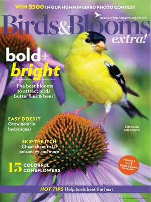 cover image of Birds and Blooms Extra